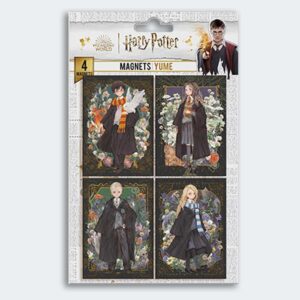 SET 4 IMANES Personajes Harry Potter