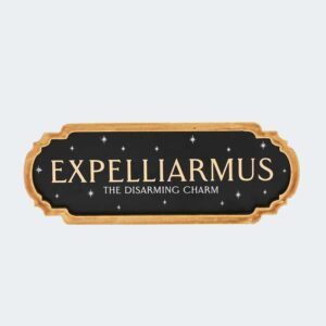 PLACA DECORATIVA Expelliarmus