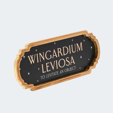 PLACA DECORATIVA Wingardium Leviosa