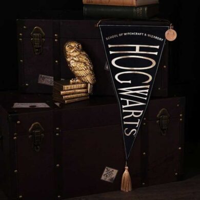 Estandarte Hogwarts de Harry Potter