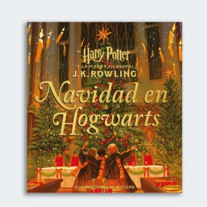 Libro Navidad en Hogwarts de Harry Potter