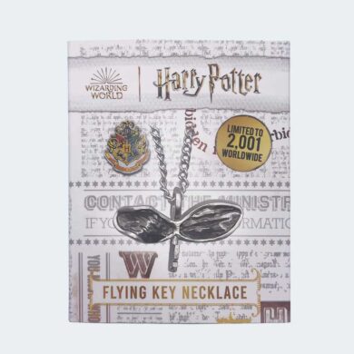 COLLAR Edición Limitada Harry Potter Llave voladora