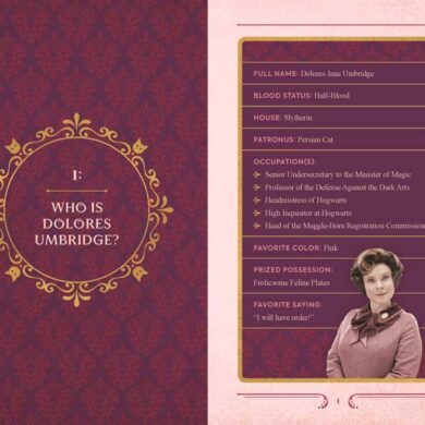 RÉPLICA Harry Potter SET JUEGO DE PLATOS con Gatos de DOLORES UMBRIDGE